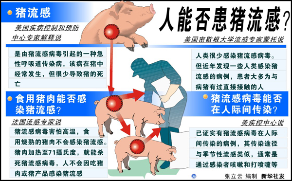 猪疫情最新消息2017，2017年猪流感动态报道