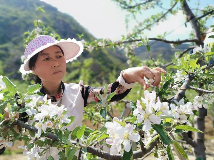 苹果新品绽放，引领科技潮流！