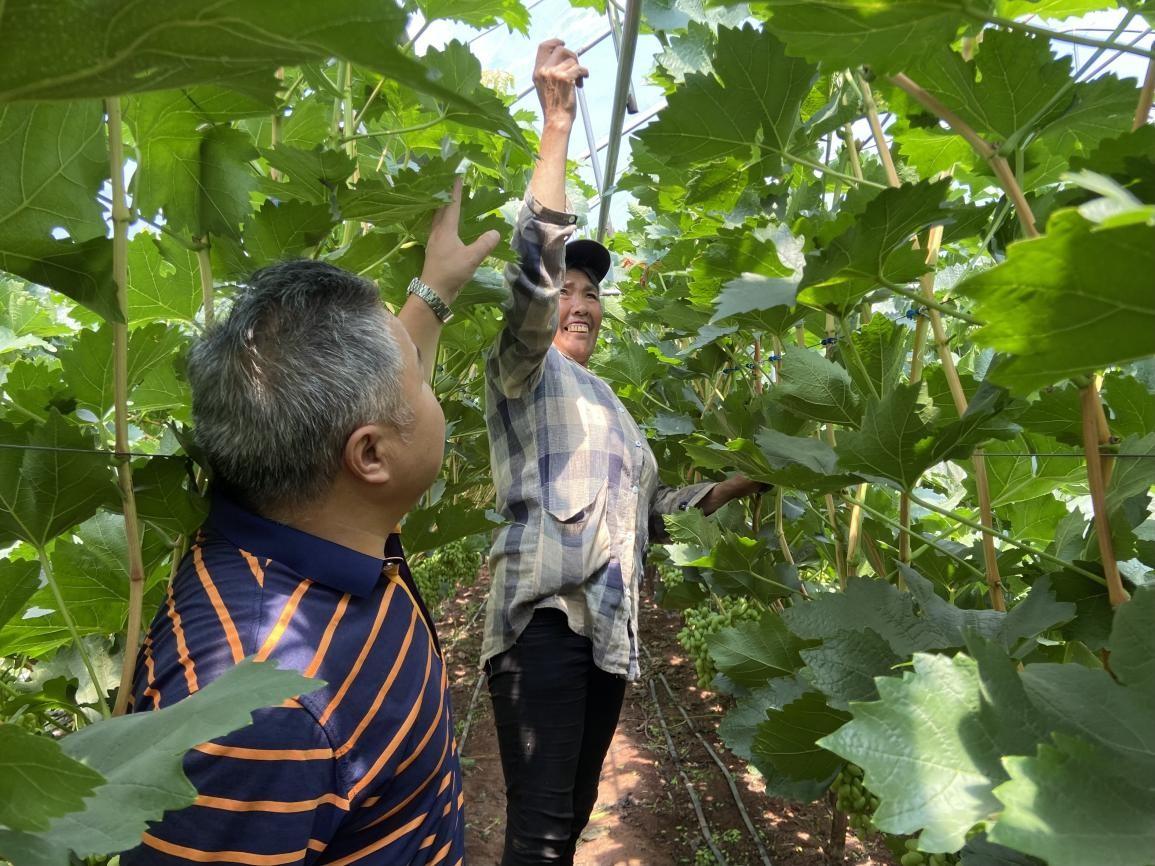 “喜讯传来！省政府揭晓新一轮土地价值新篇章”