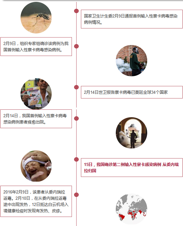 最新揭晓：寨卡病毒疫情动态与防控进展盘点