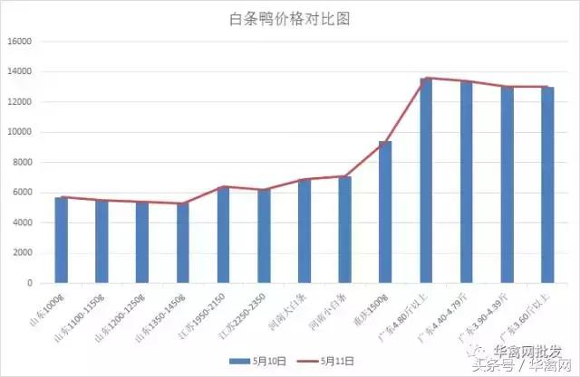 市场动态：最新发布成品鹅批发与零售价格走势分析